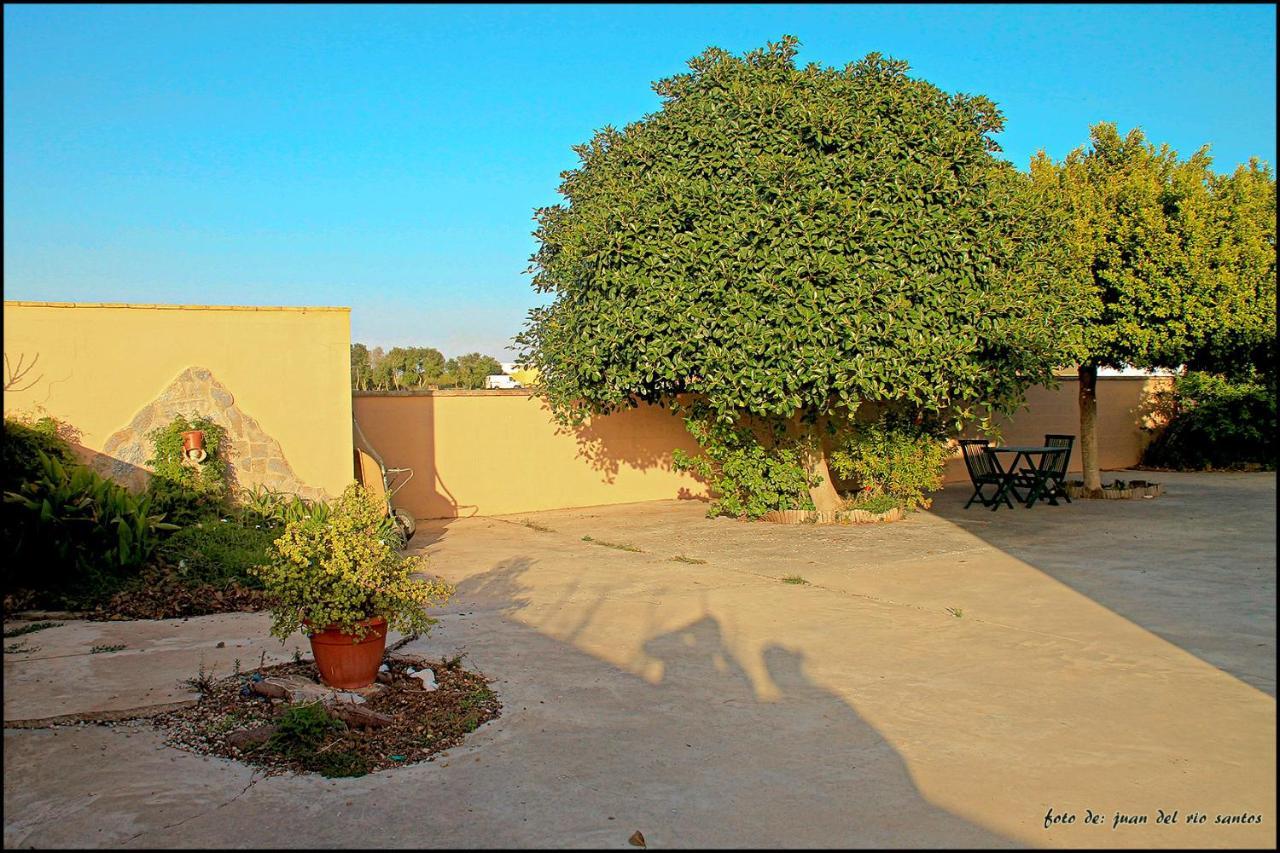Mi Oasis Villa Conil De La Frontera Exterior foto