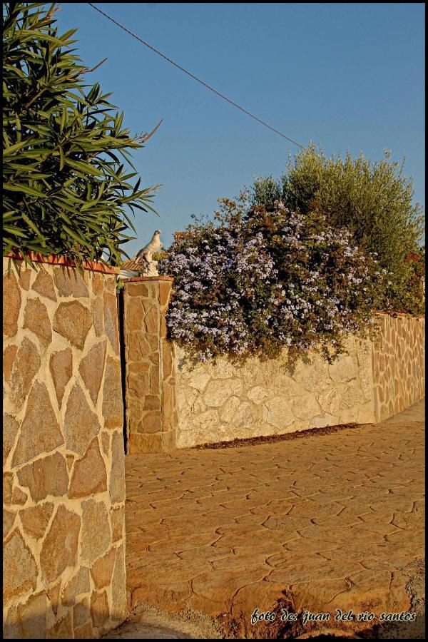 Mi Oasis Villa Conil De La Frontera Exterior foto